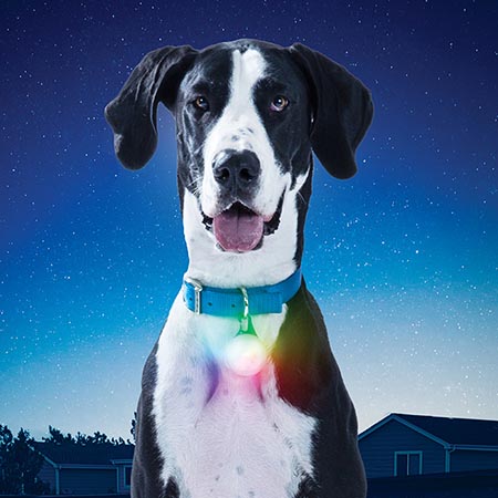 Nite Ize - SpotLit® XL Rechargeable Collar Light