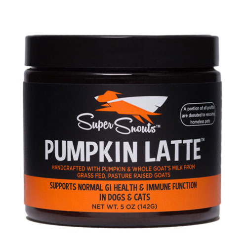 Super Snouts - Pumpkin Latte- Sale