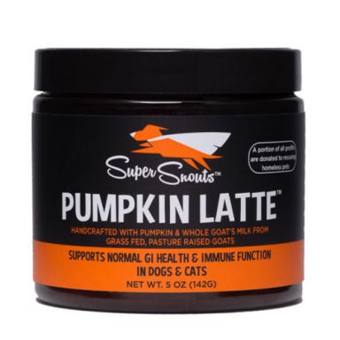 Super Snouts - Pumpkin Latte- Sale