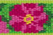Petunias