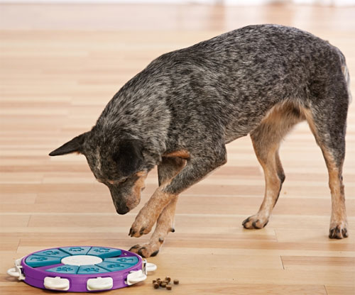 Outward Hound Twister Dog Puzzle - Level 3 Game - Four Your Paws Only