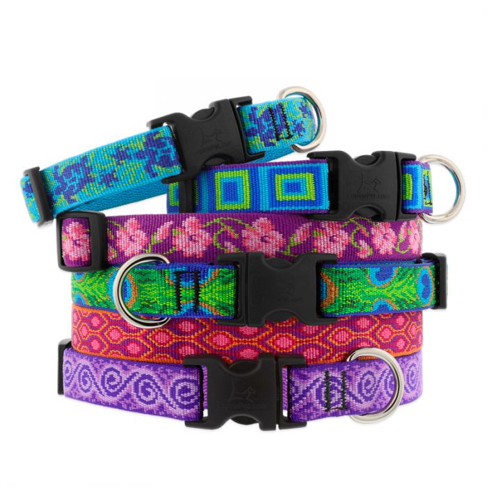 Dog Collars MicroBatch Limited Designs