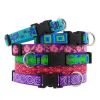 Original Designs Dog Collar