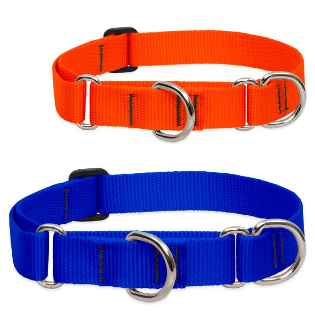 lupine martingale