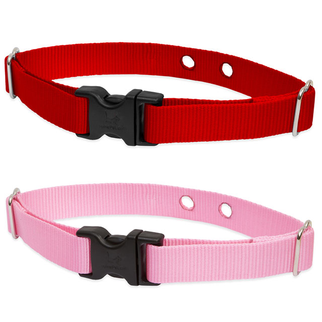 Lupine Original Designs Underground Fence Collar: Four Your Paws Only