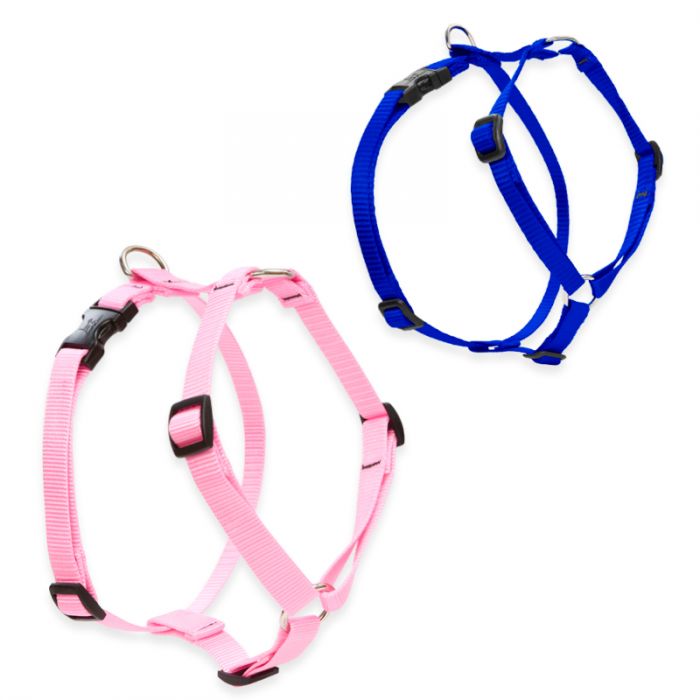 Roman Dog Harnesses Four Your Paws Only