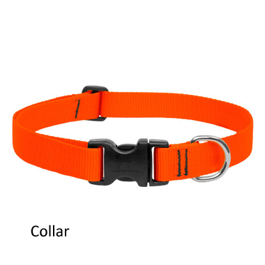 Lupine Blaze Orange - 1" Width for Large Dogs