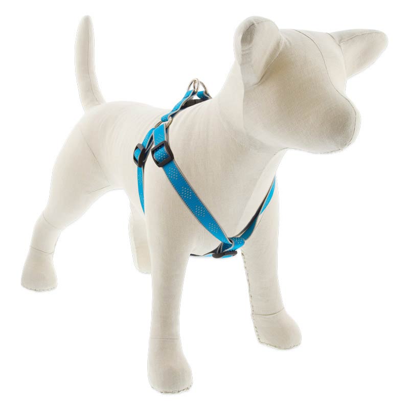 Top paw step in dog harness hotsell