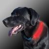Nite Ize - Nite Dawg® LED Collar Cover - Popular Favorite!