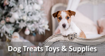 dog specialty stores