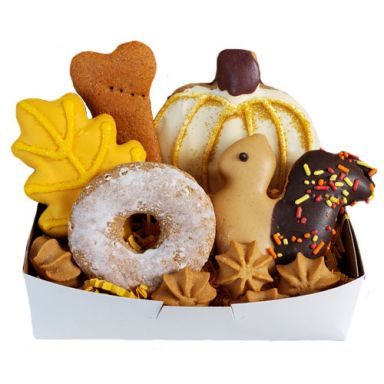 New Hampshire Autumn Sampler