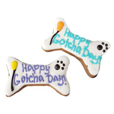 Happy Gotcha Day Bones