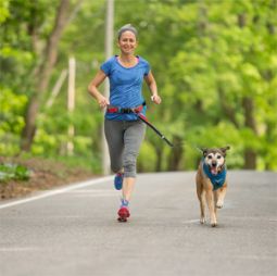 Kurgo - K9 Excursion Running Belt