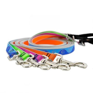 High Lights Reflective Dog Leash