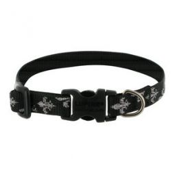 1/2" Dog Adjustable Collar