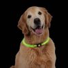 Nite Ize - NiteHowl® LED Rechargable Safety Necklace