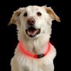 Nite Ize - NiteHowl® LED Rechargable Safety Necklace