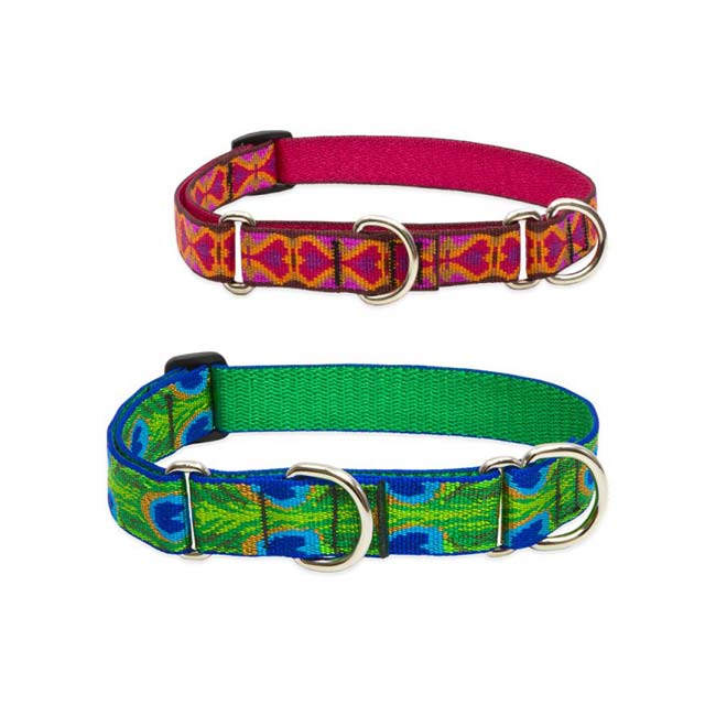 lupine original dog collar