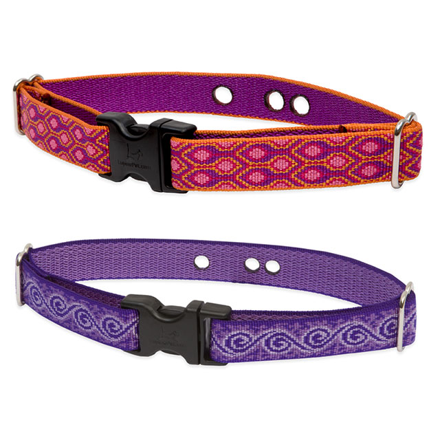 Lupine MicroBatch Collar: Four Your Paws Only