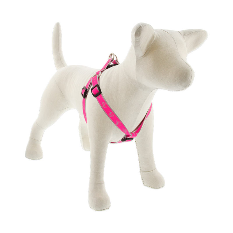 Reflective step sales in dog harness