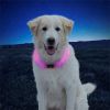 Nite Ize - NiteHowl® LED Rechargable Safety Necklace