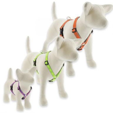 High Lights Reflective Roman Dog Harness