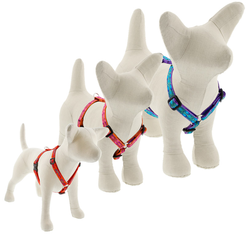 Roman Dog Harnesses