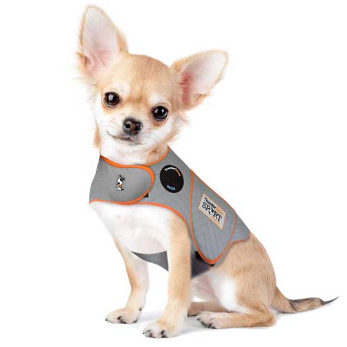 thundershirt sport for dogs